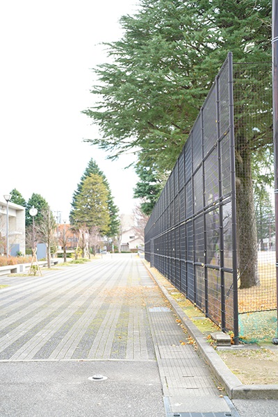 富山市芝園地内